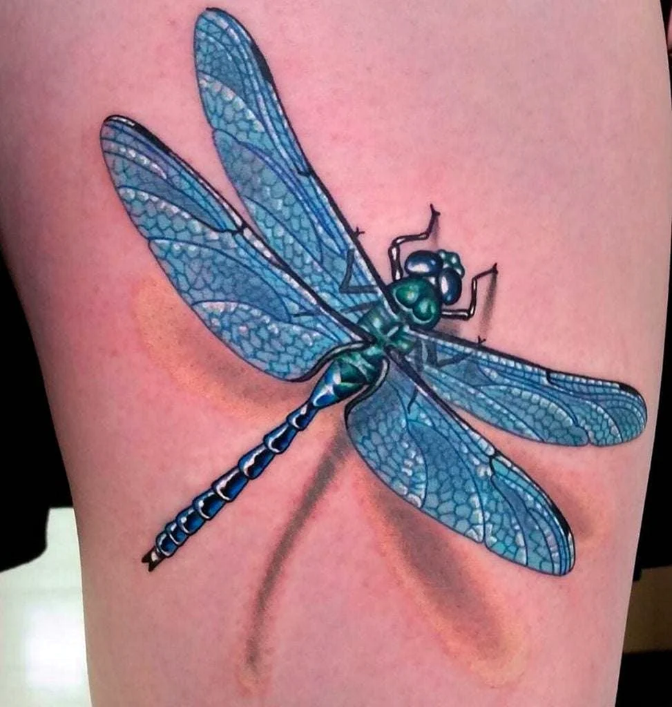 3d Dragonfly