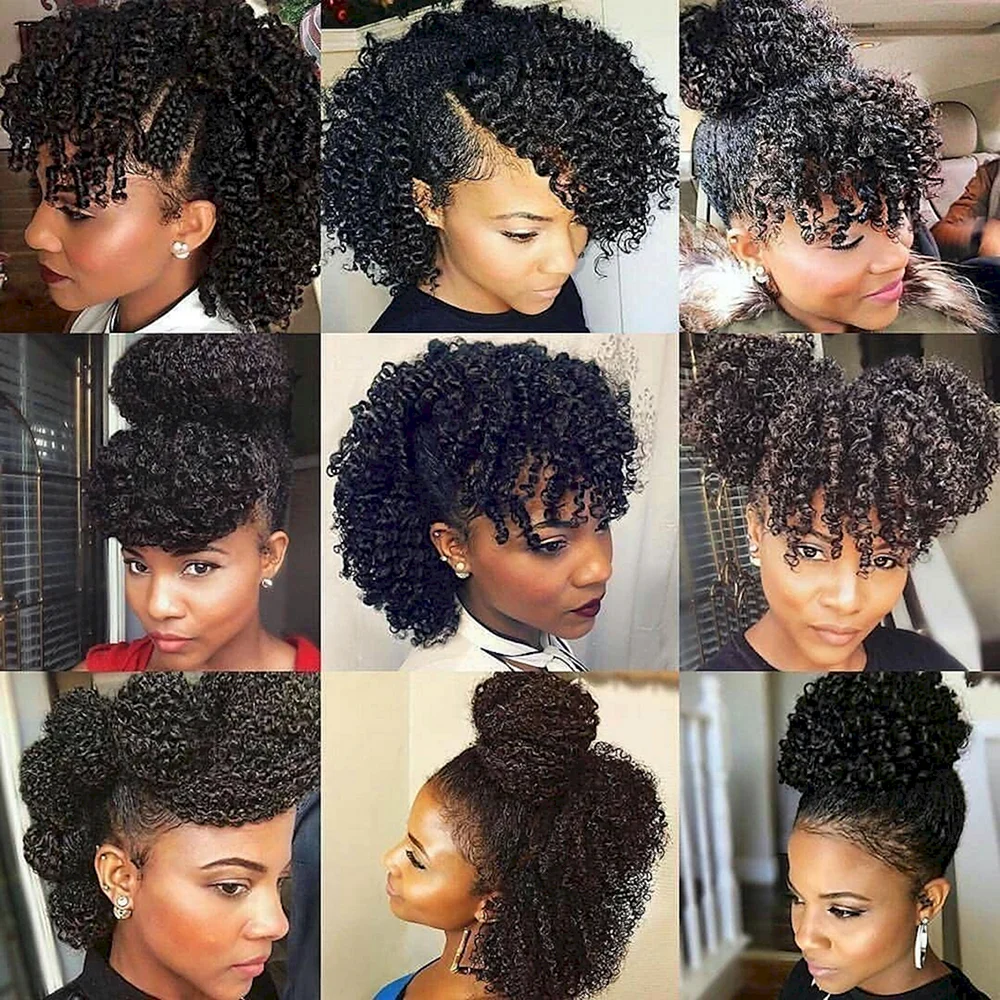 Afro curly Hairstyles