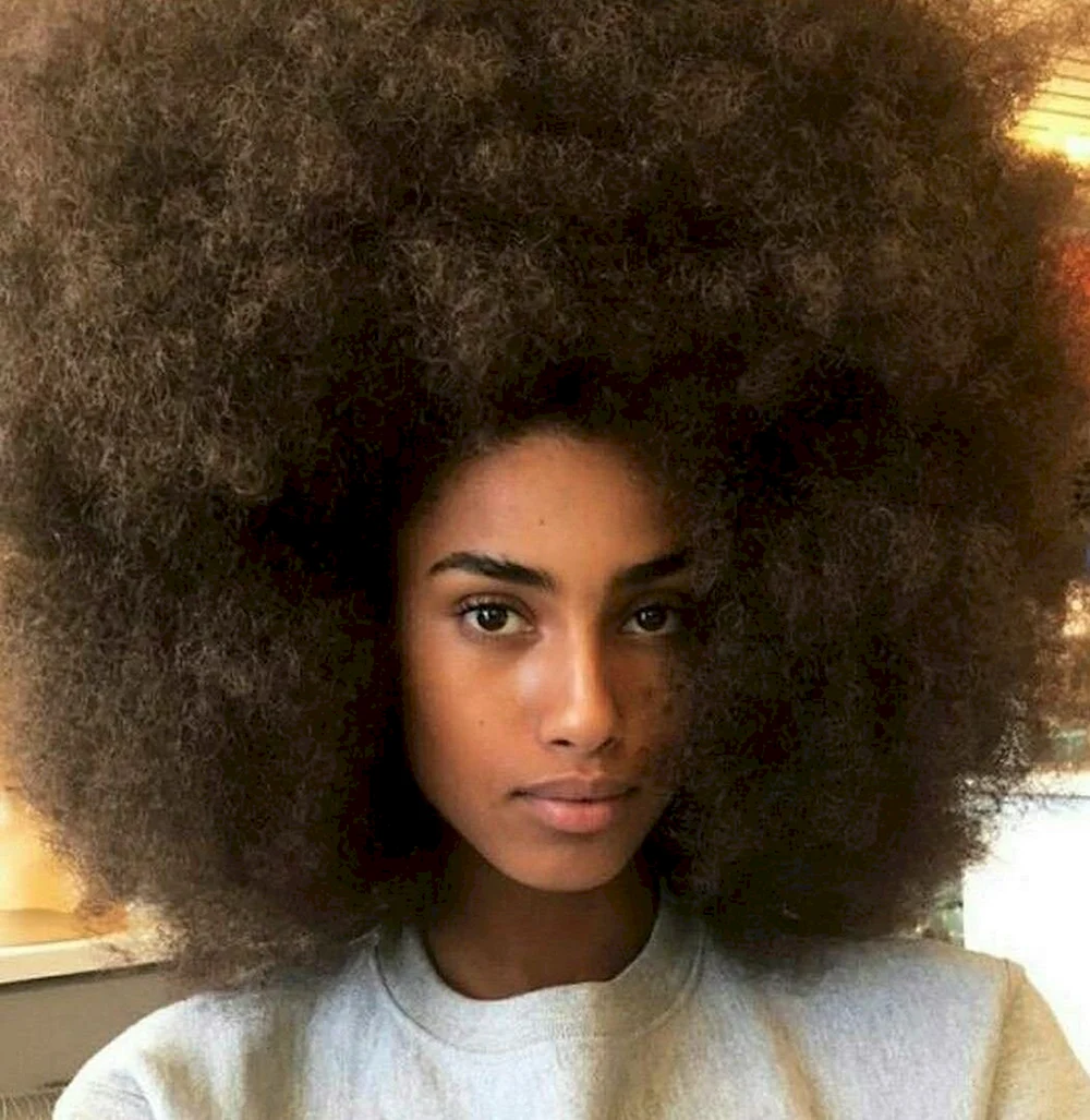 Afro hair texture