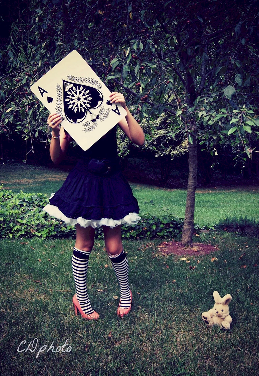Alice in Wonderland Photography