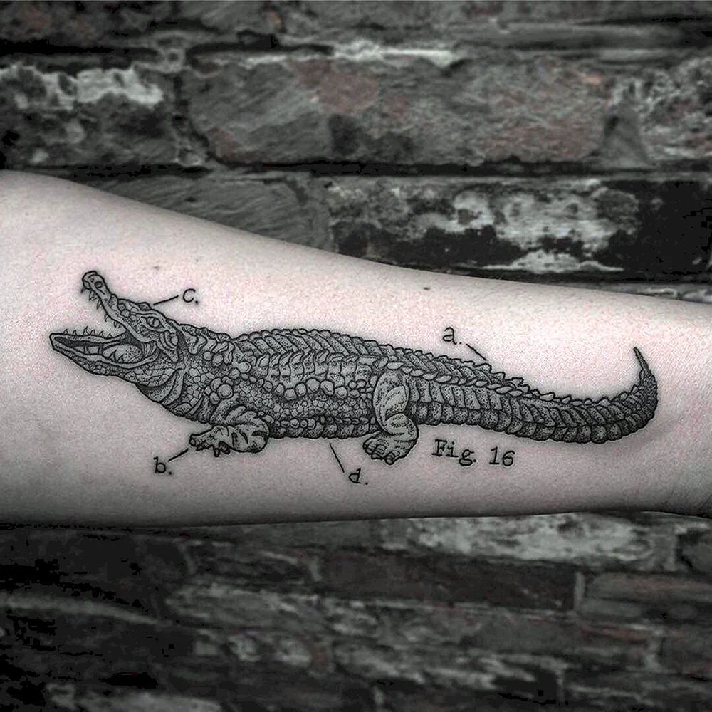 Alligator Tattoo