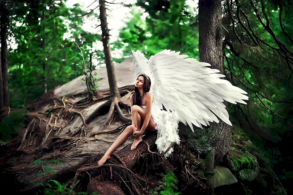 Angel in Forest