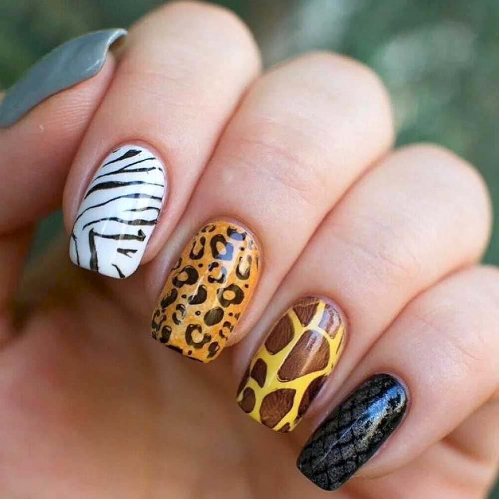 Animal Print Designer Nails