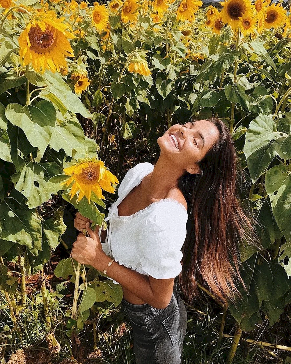 Ariana Sunflower