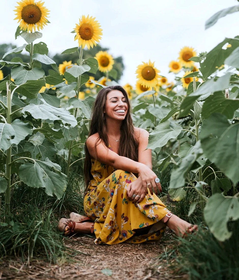 Ariana Sunflower