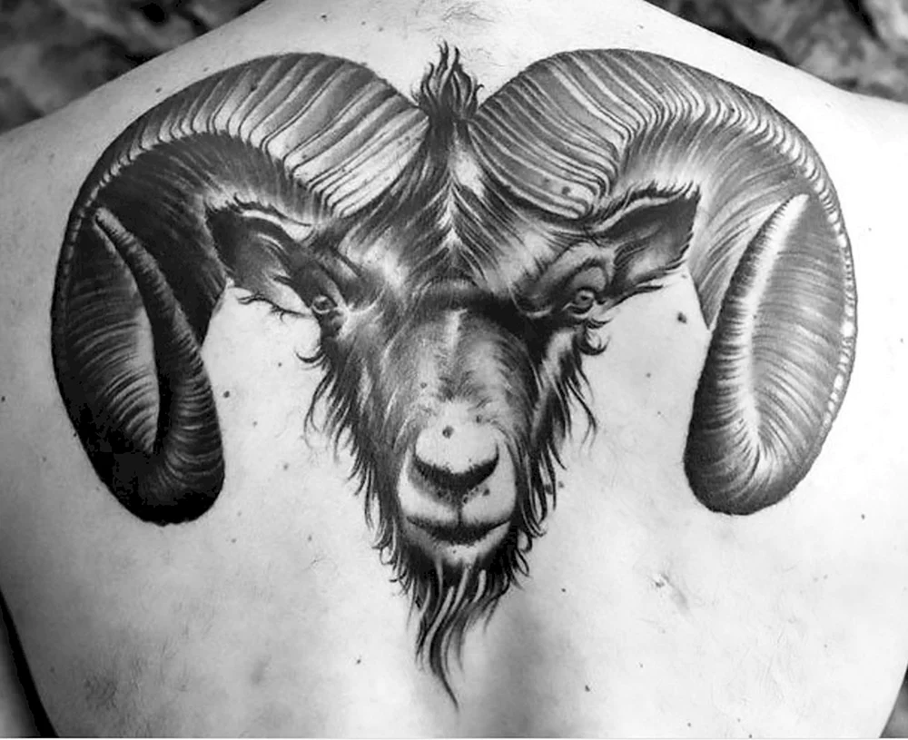 Aries Ram Tattoo