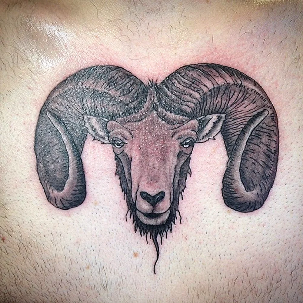Aries Tattoo Design