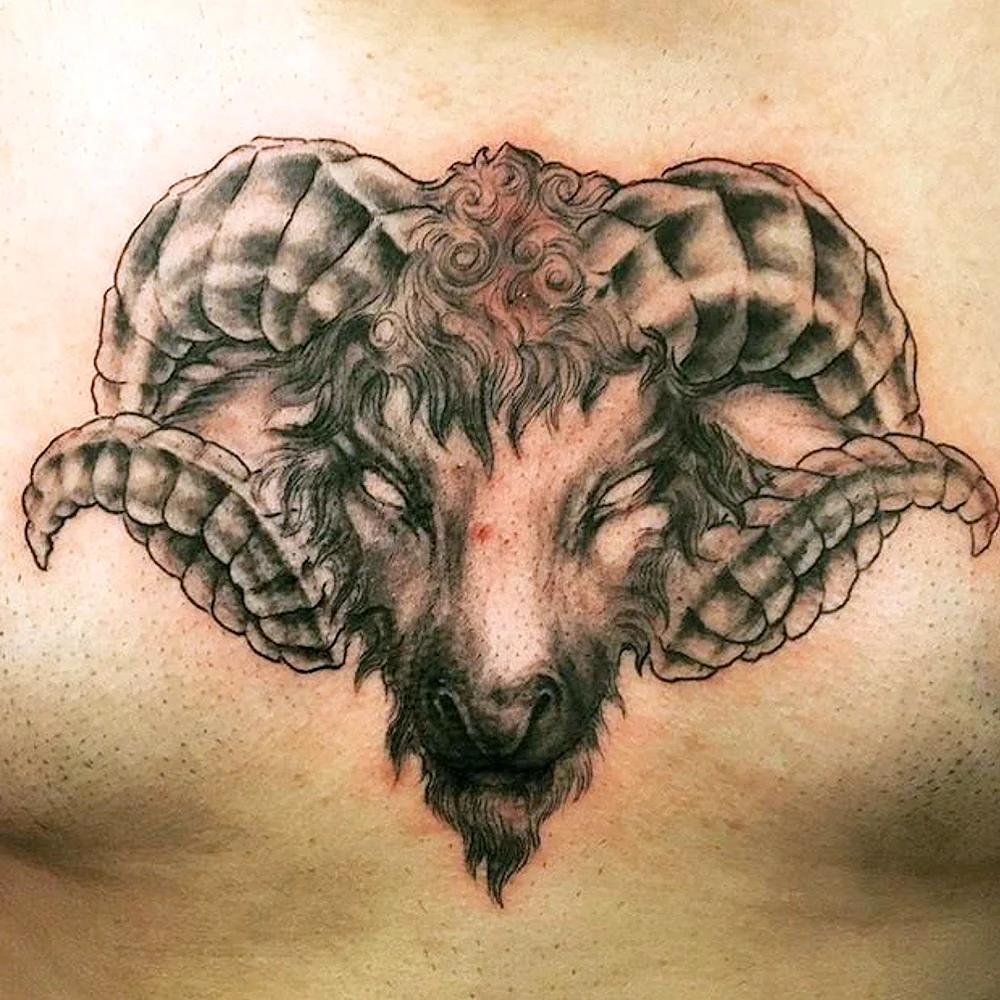 Aries Tattoo realistic