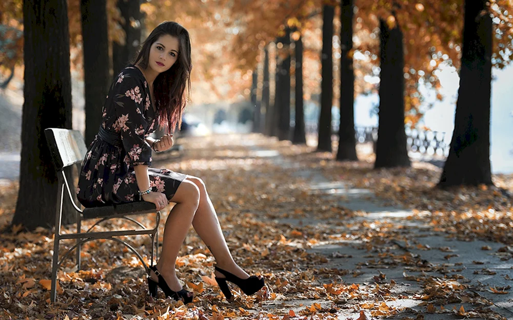 Autumn Falls Dress