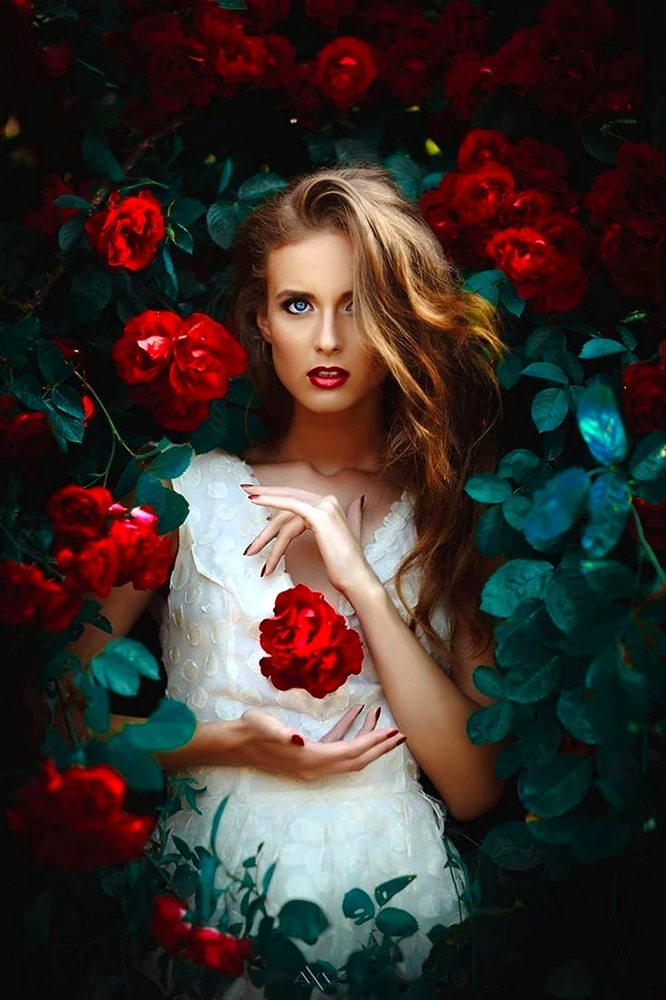 Beautiful woman with Rose