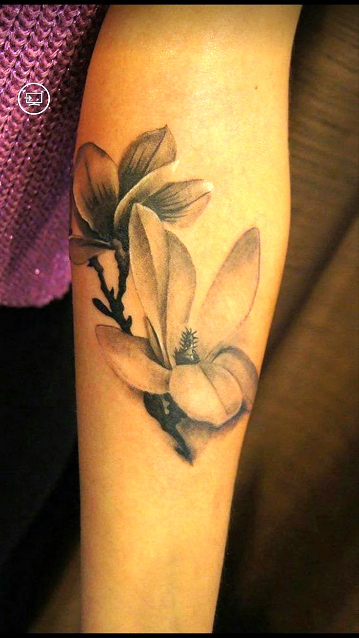 Black and Grey Magnolia Tattoo