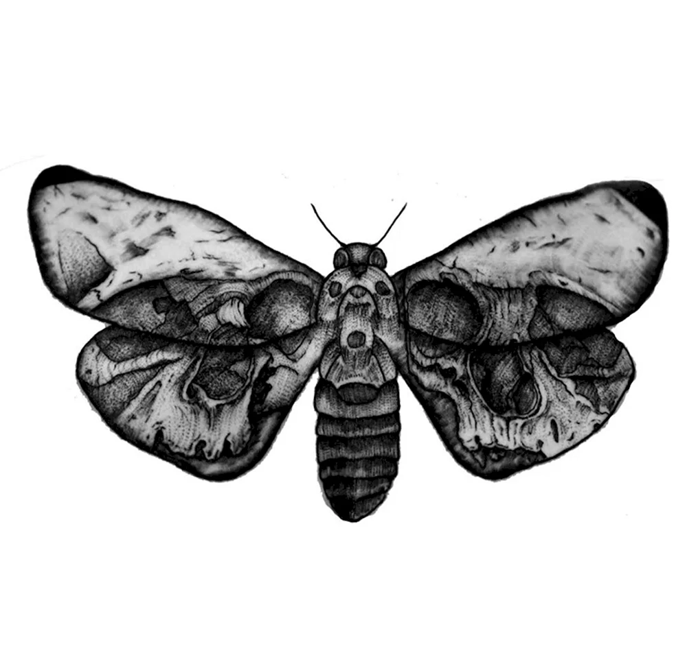 Black-Butterfly Skull