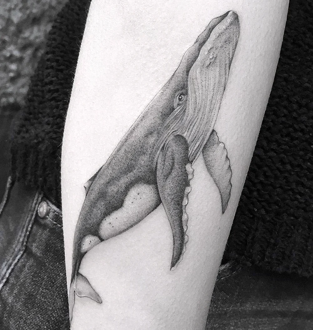 Blue Whale Tattoo Design