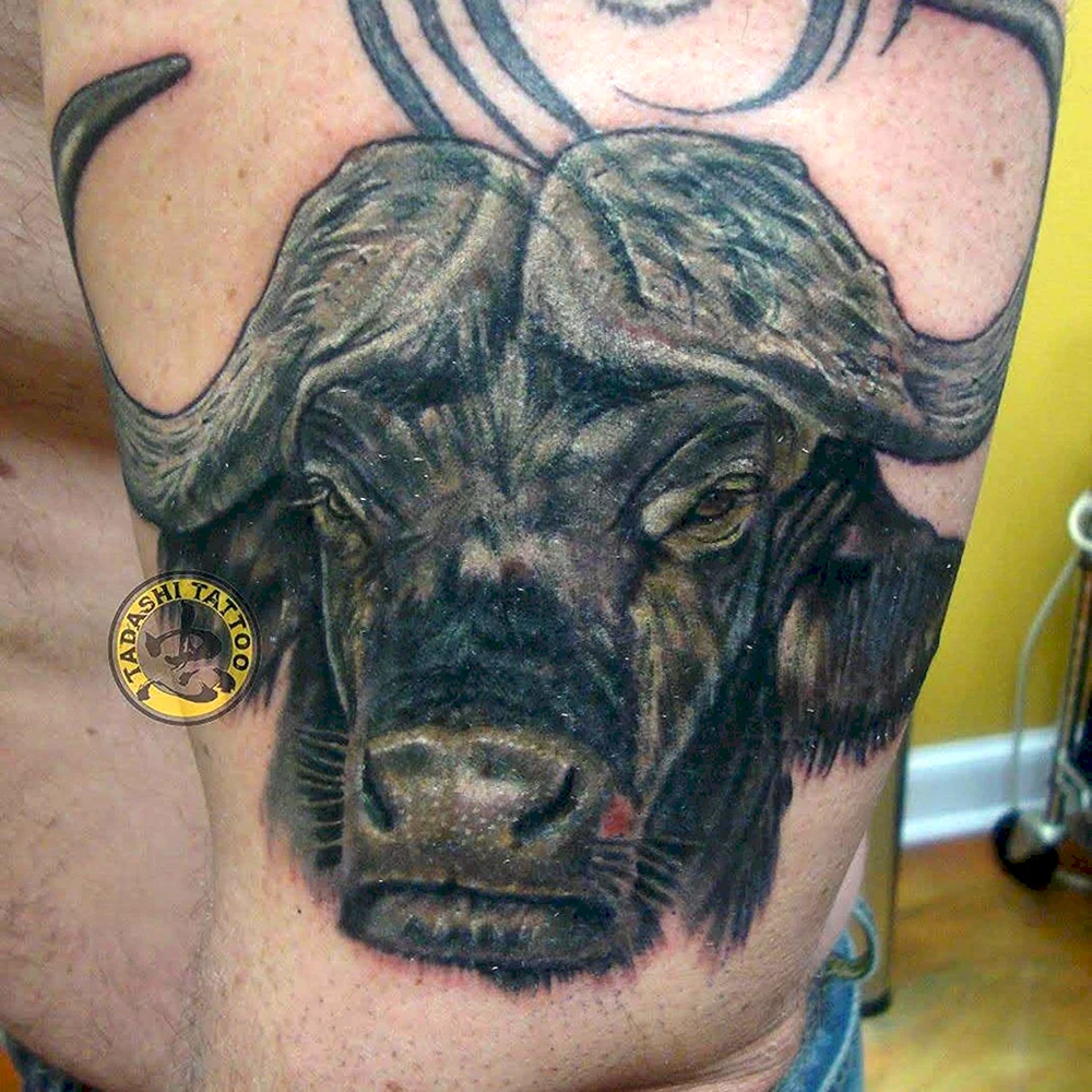 Buffalo Tattoo