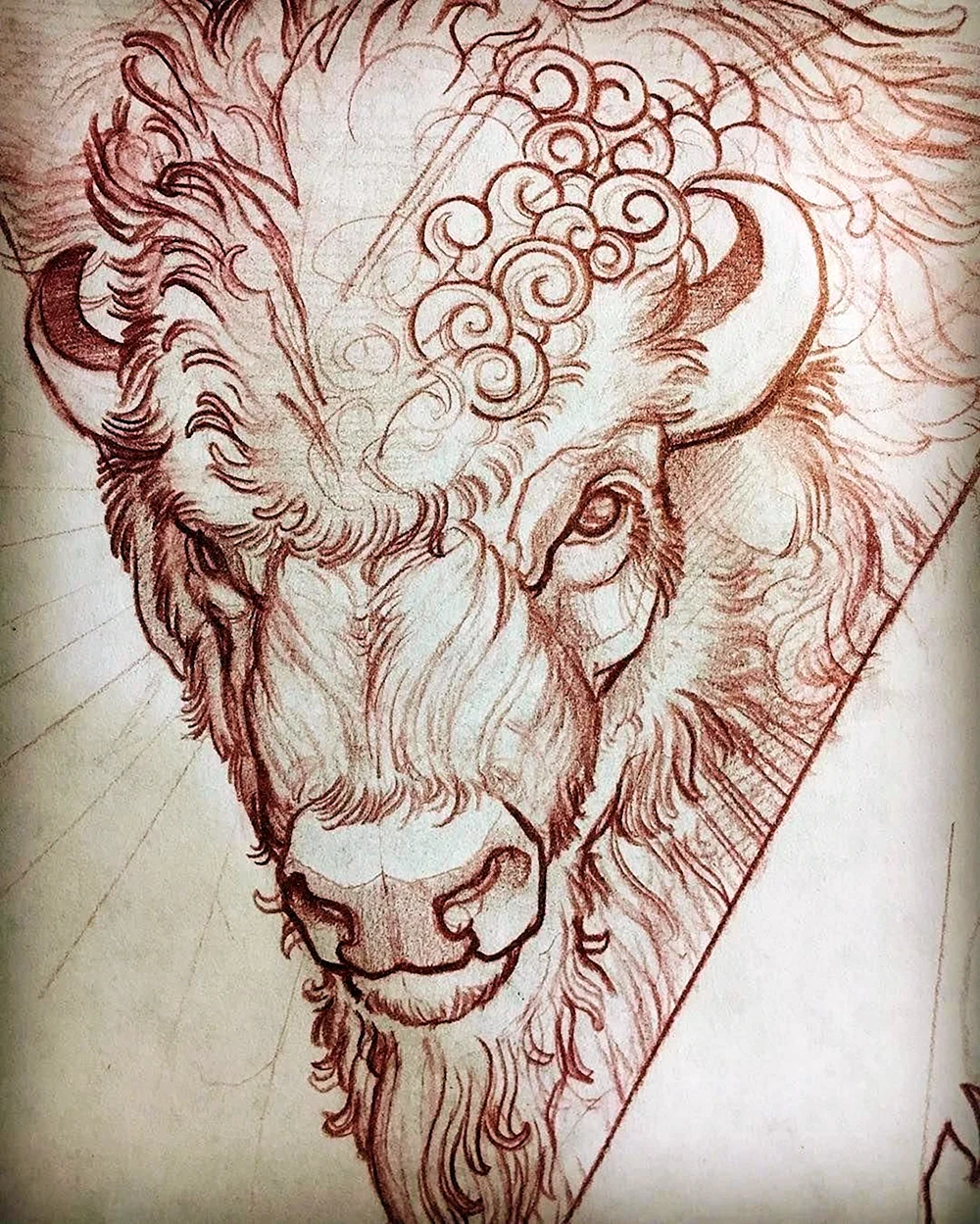 Bull head drawing