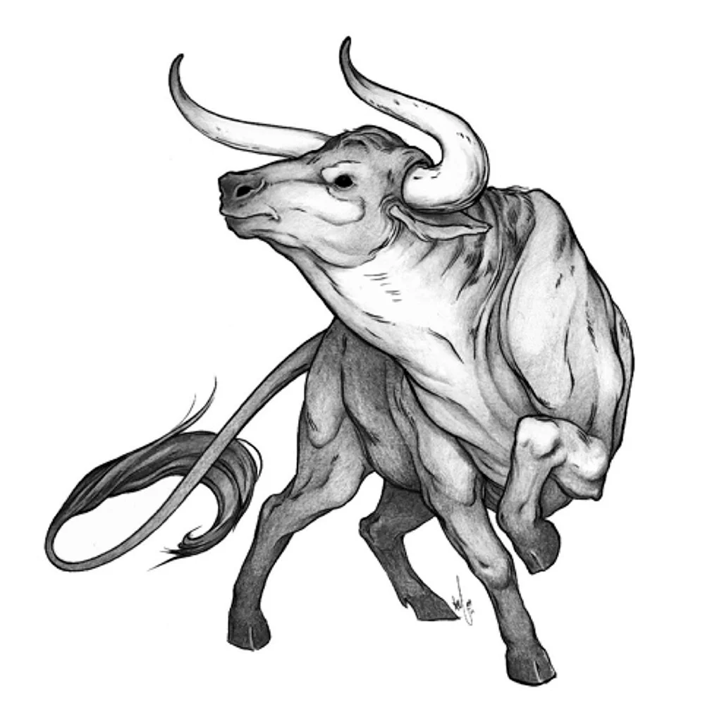 Bull Taurus