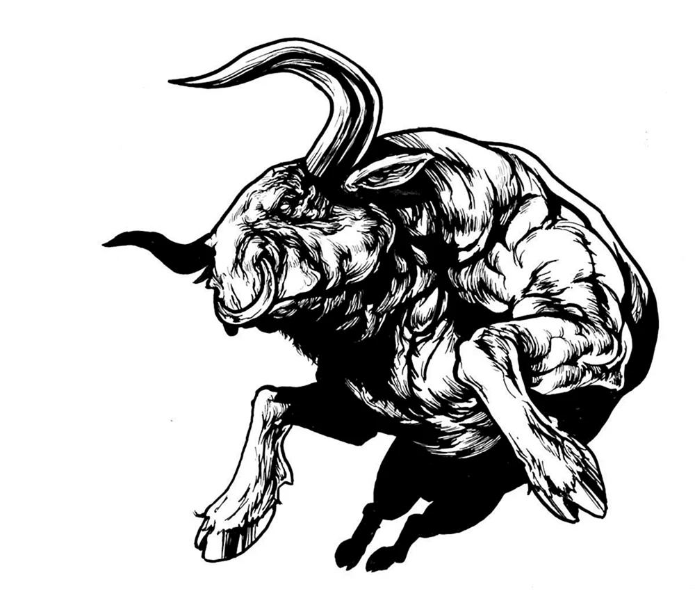 Bull Taurus