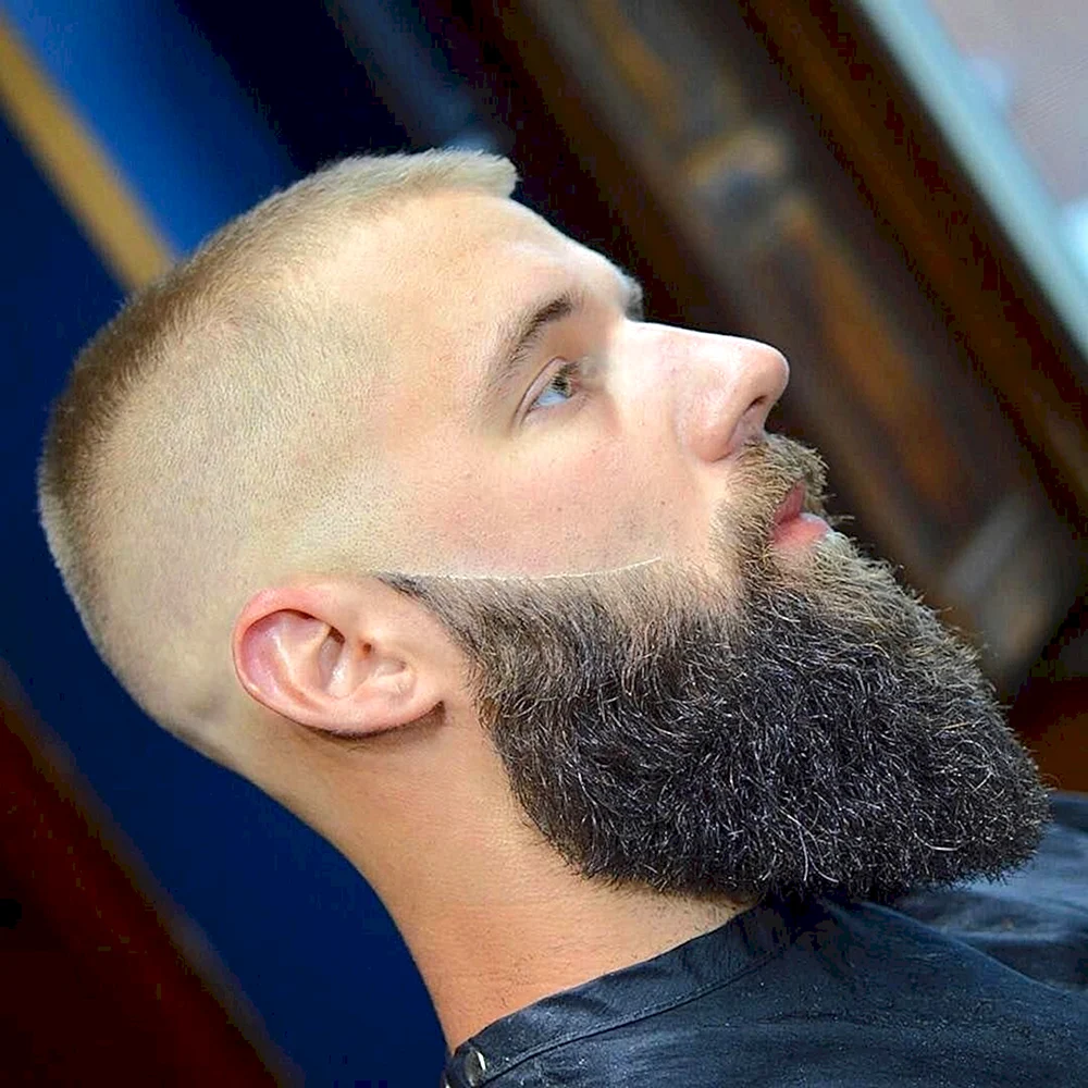 Buzz Cut long Beard