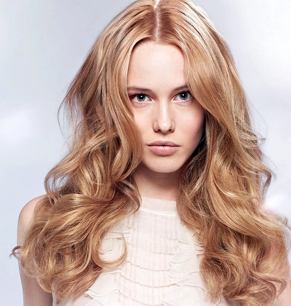 Cappuccino blonde hair Color