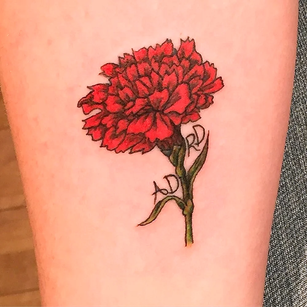 Carnation Tattoo