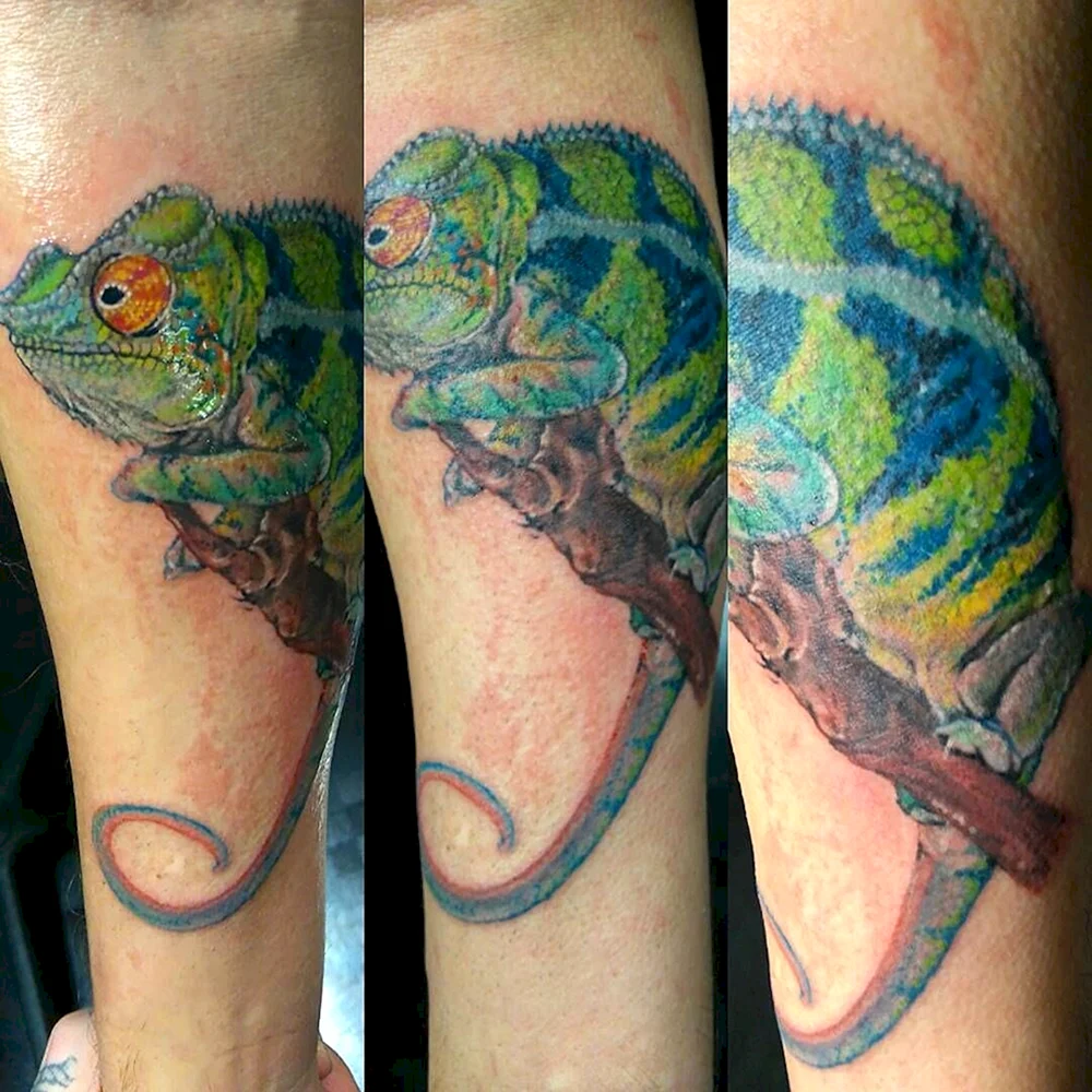 Cartoon Chameleon Tattoo