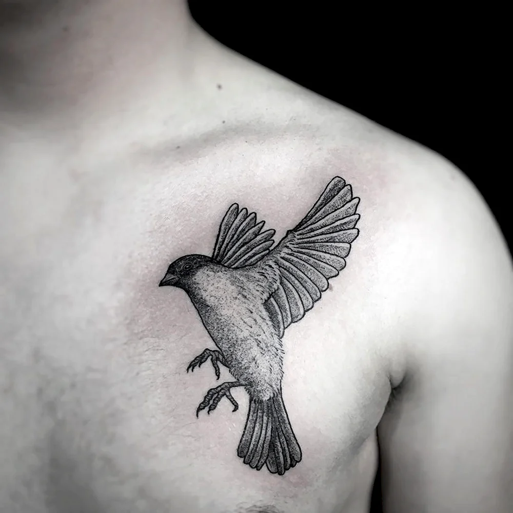 Chest Tattoo Bird