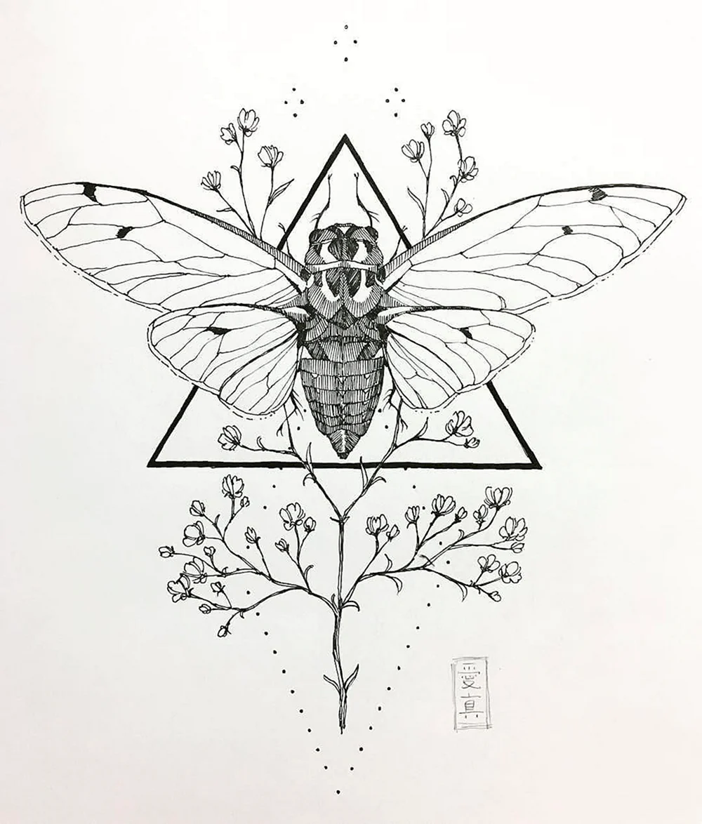 Cicada Mandalas