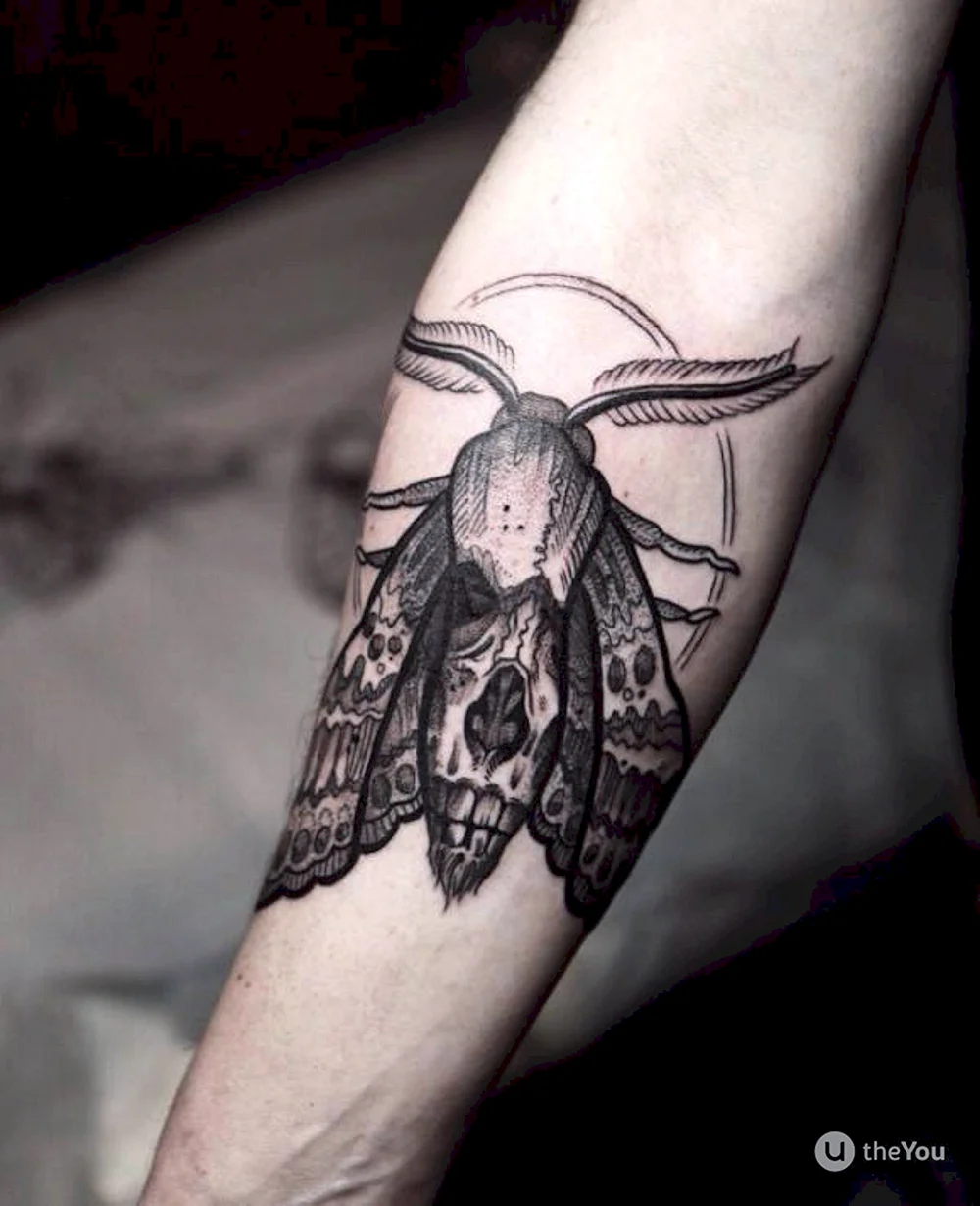 Cinnabar Moth Tattoo