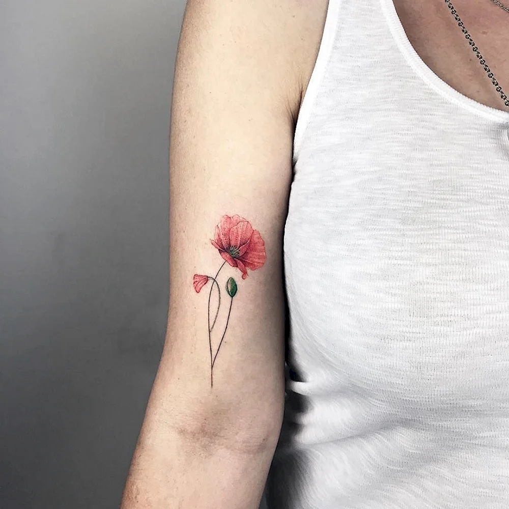 Common Poppy Tattoo