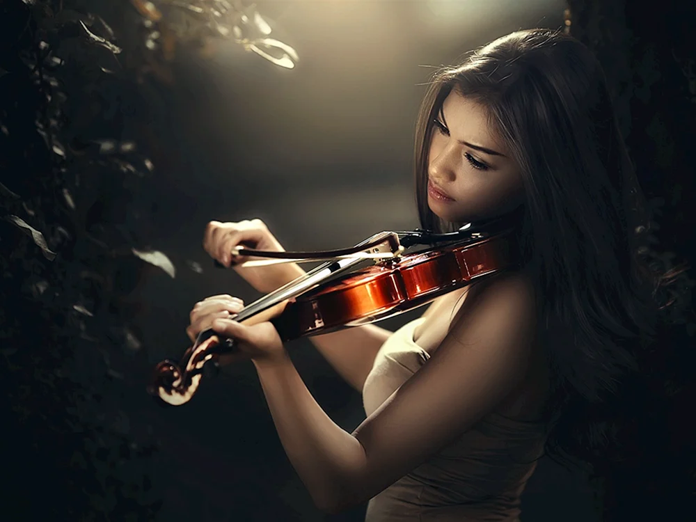 Concert Violin