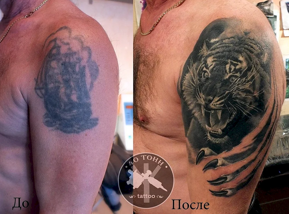 Cover up Tiger