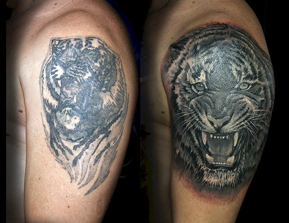 Cover up Tiger