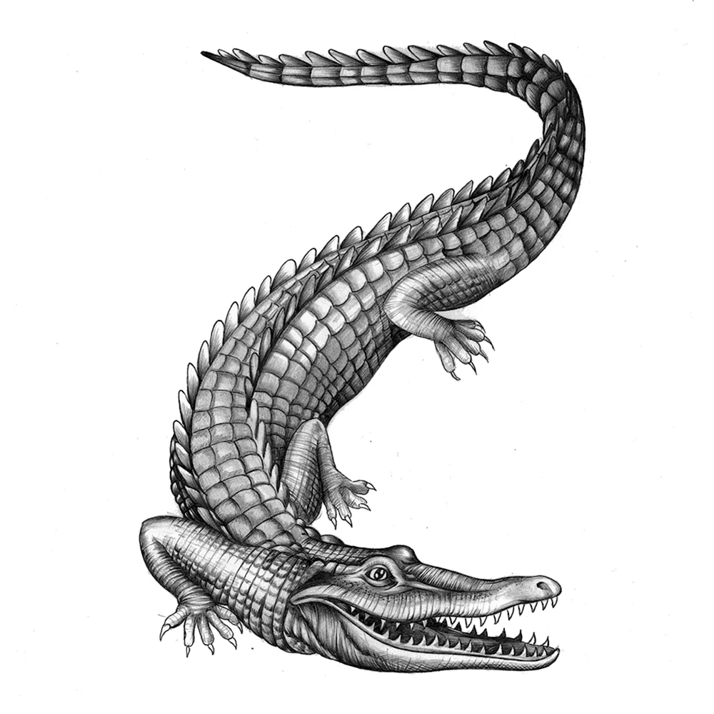 Crocodile Tattoo