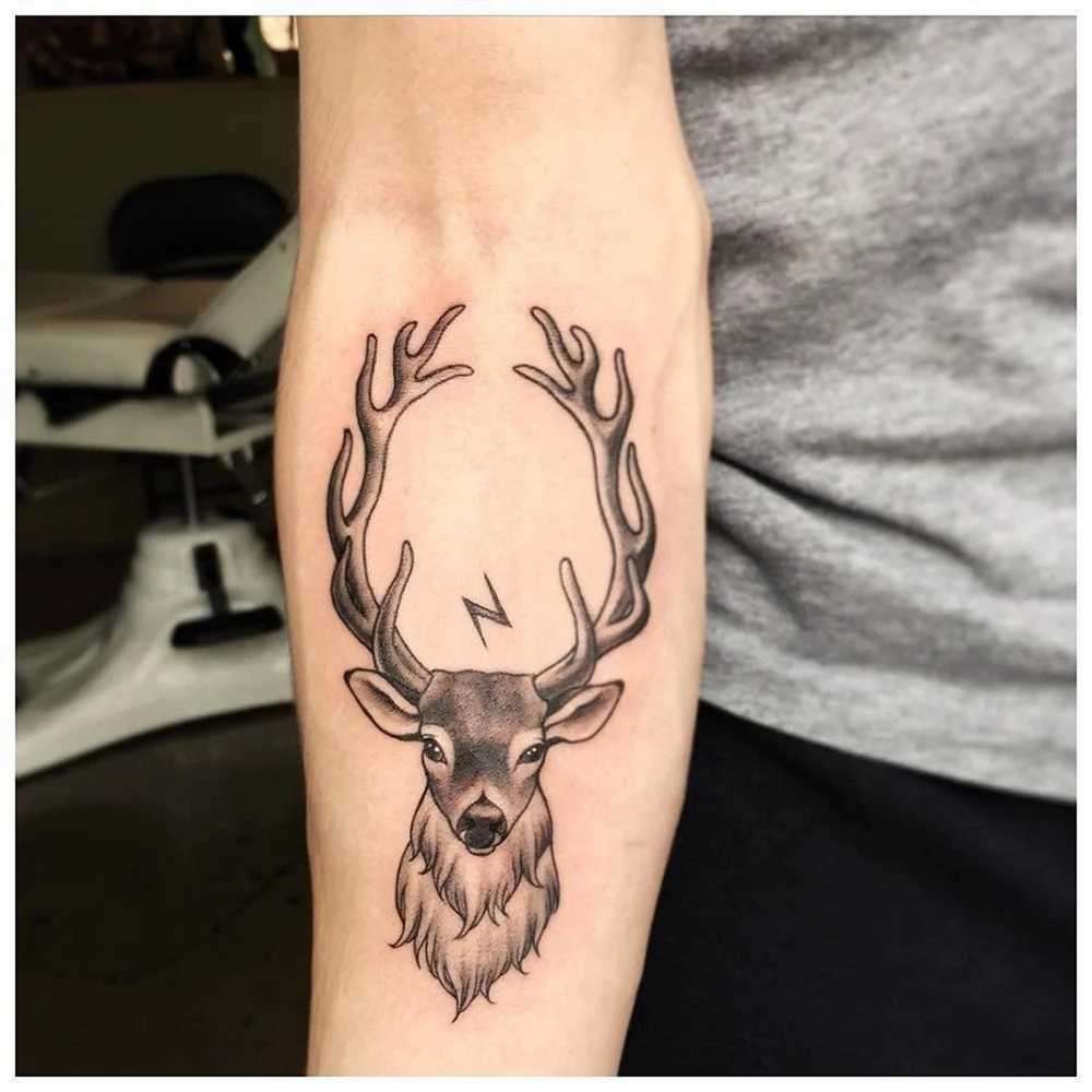 Deer Stag Tattoo Design