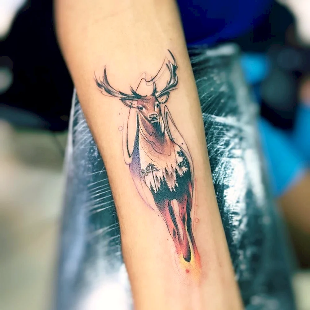 Deer Tattoo