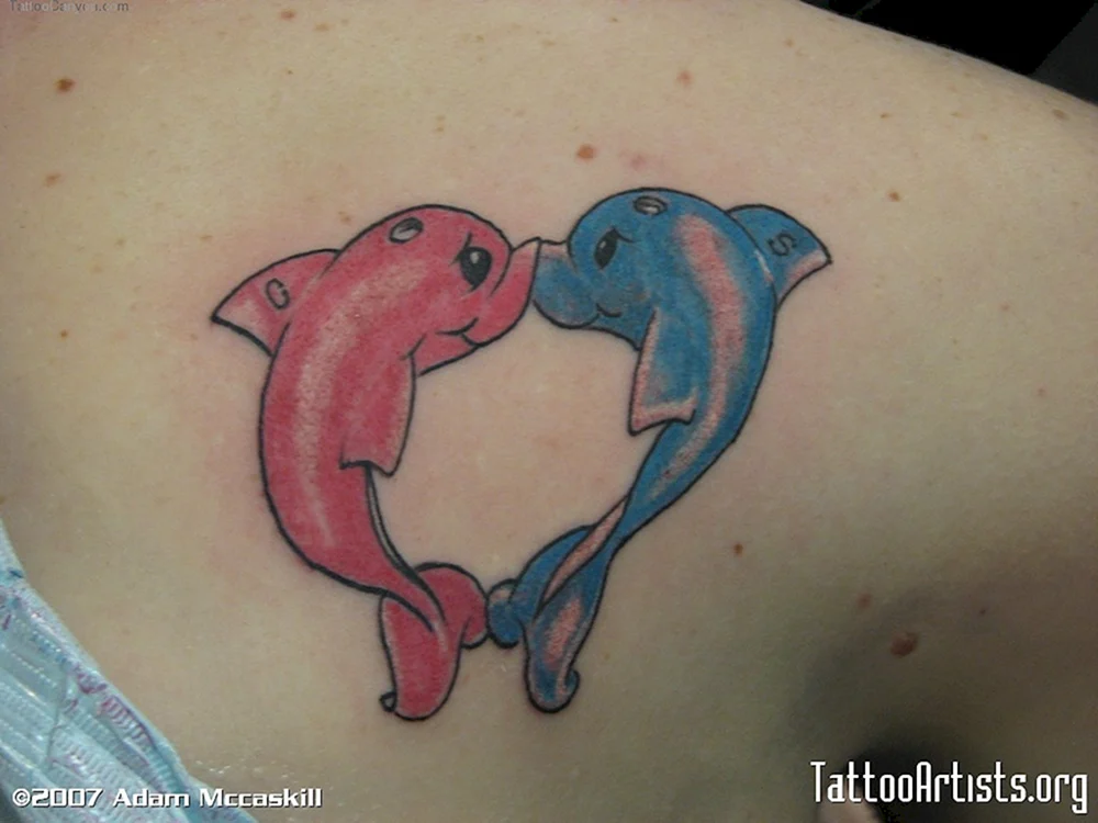 Dolphin collection Tattoo