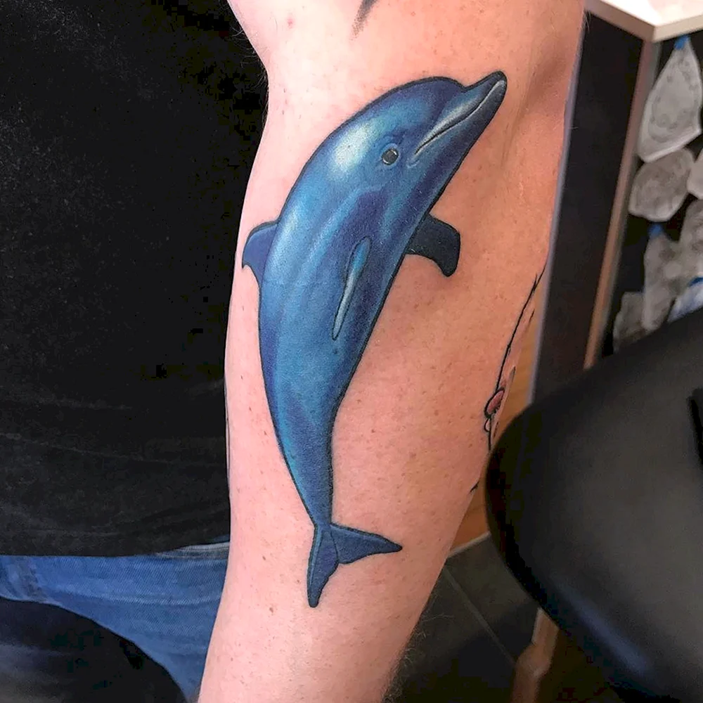 Dolphin Tattoo