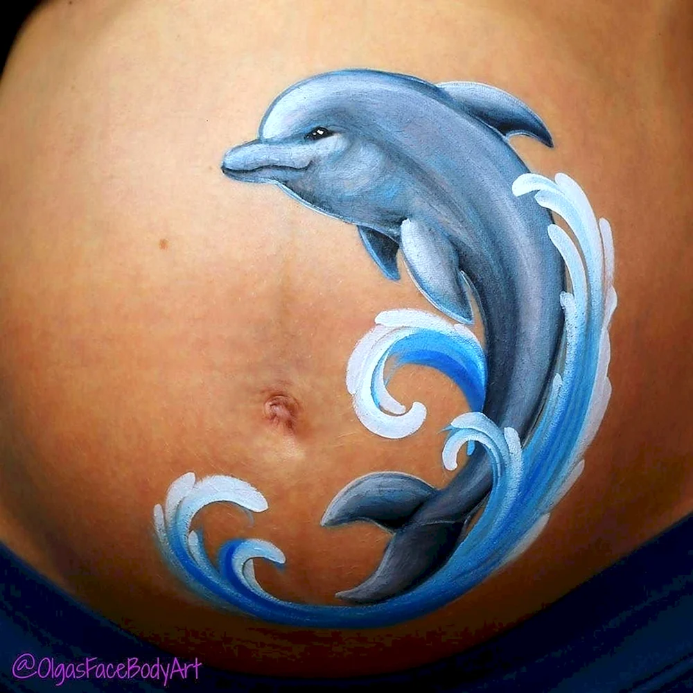 Dolphins belly