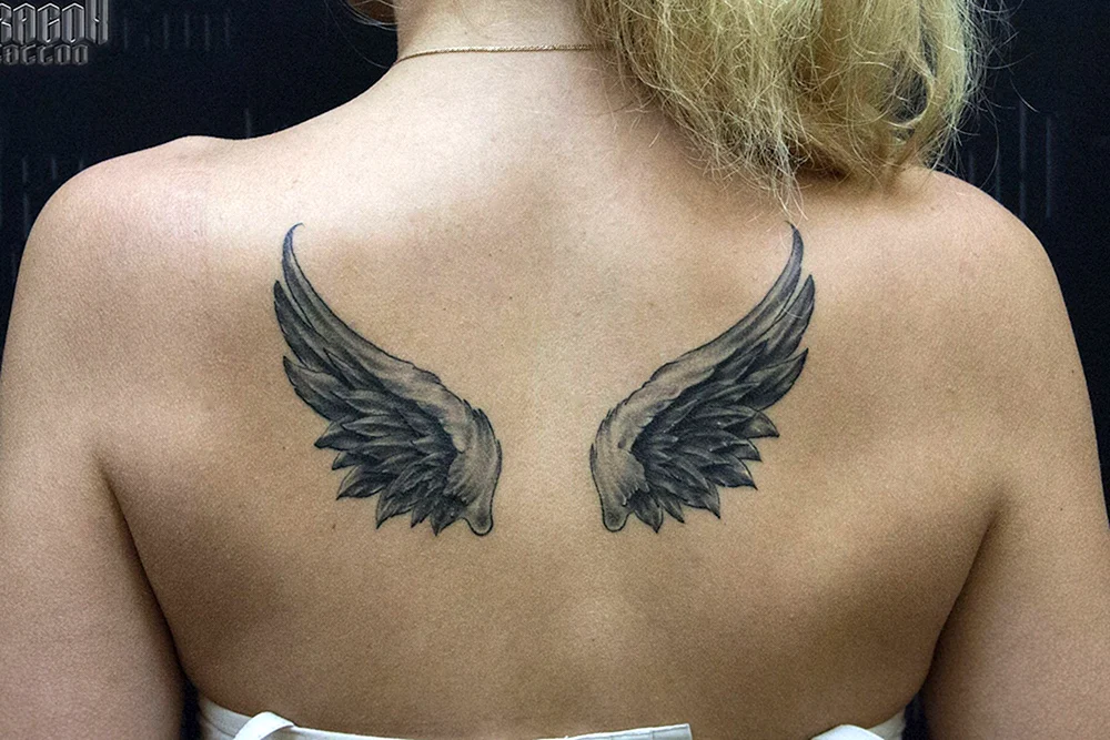 Dragon Wings on back