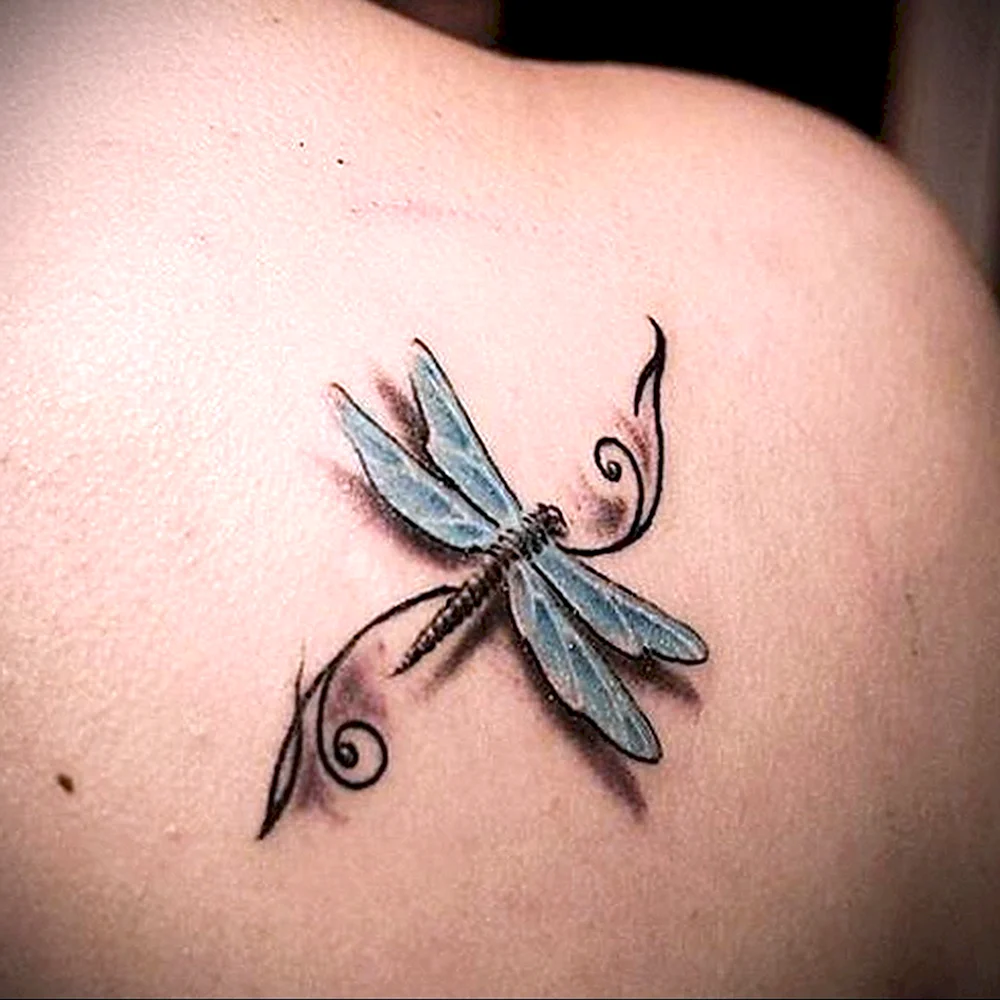 Dragonfly Tattoo Shoulder