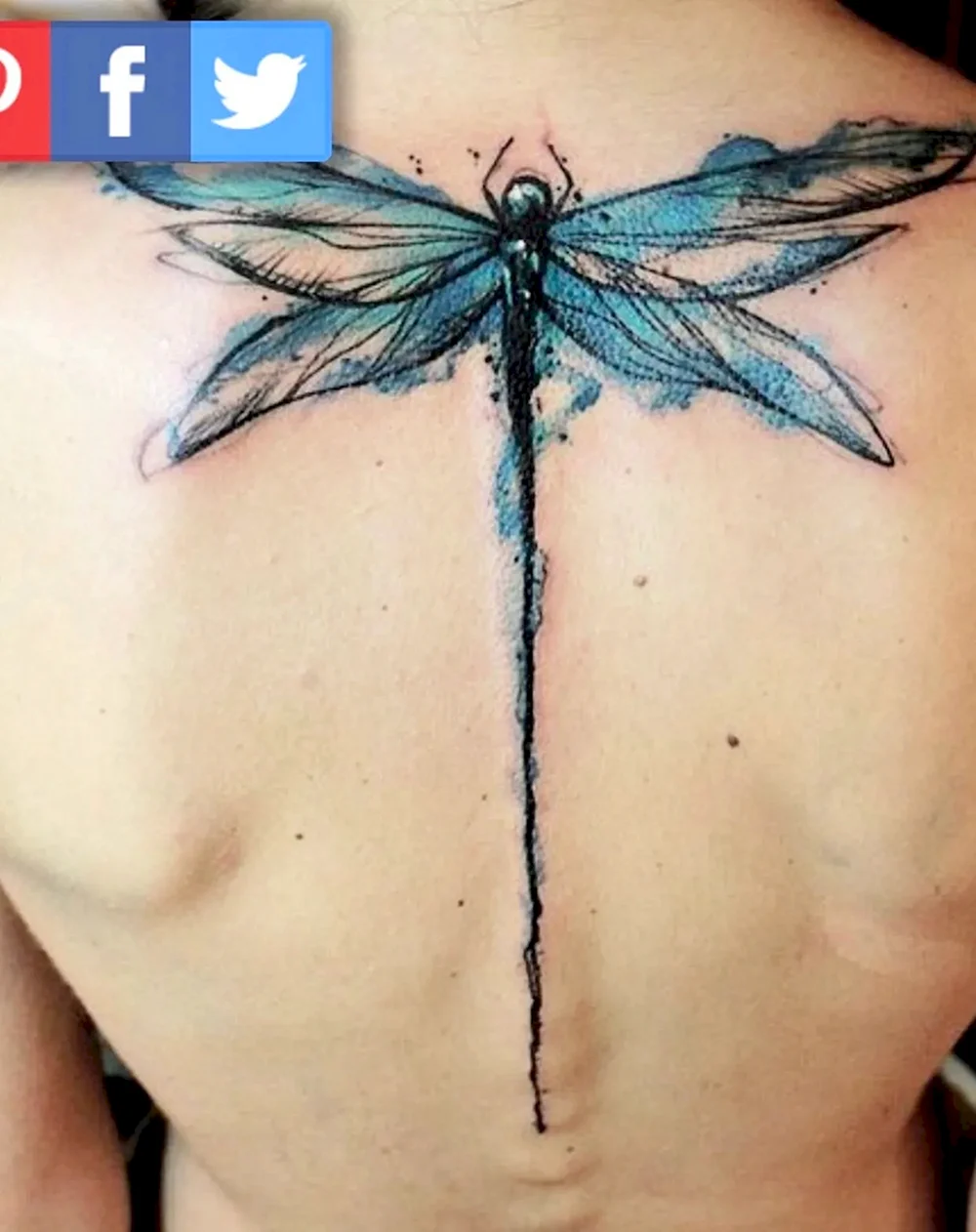 Dragonfly Tattoo Watercolor