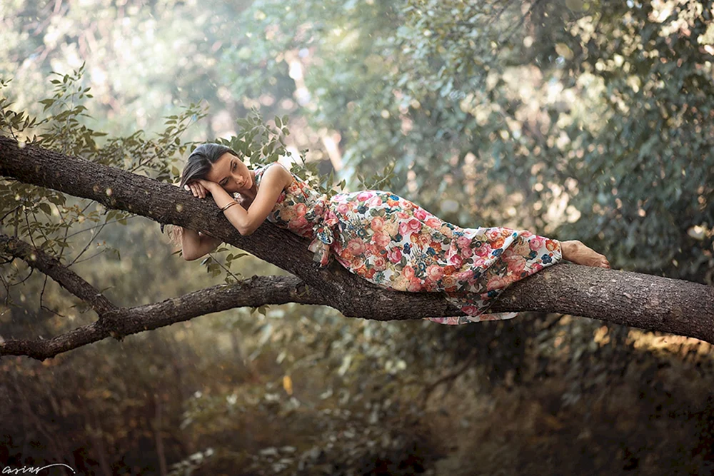 Dress in Tree