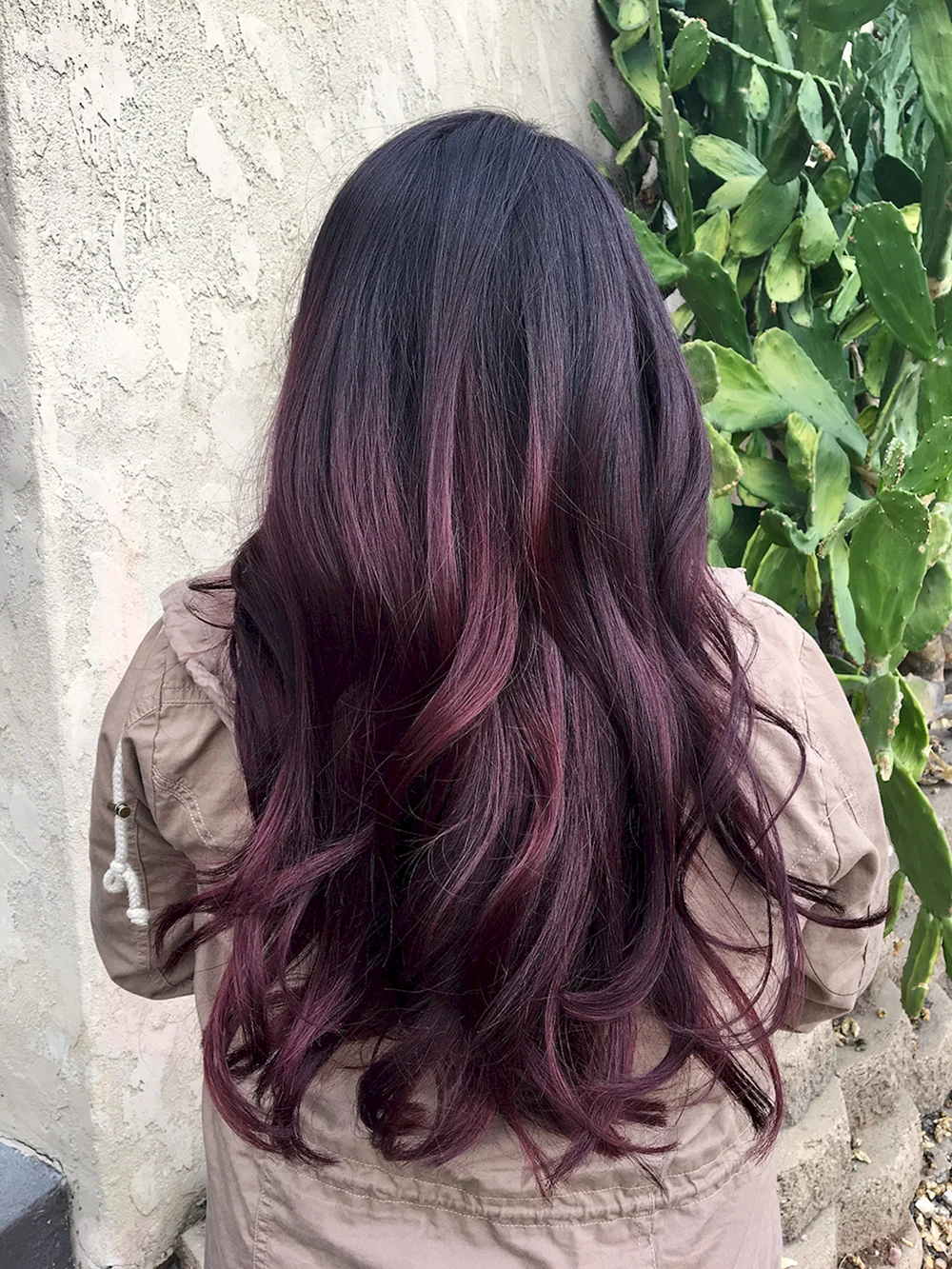 Eggplant hair Color