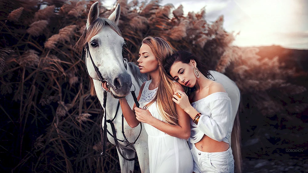 Fashion women on Horse