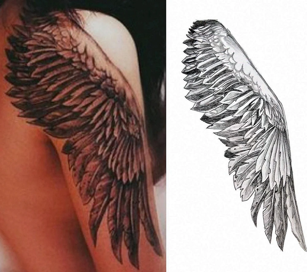 Feather Wing Tattoo Design