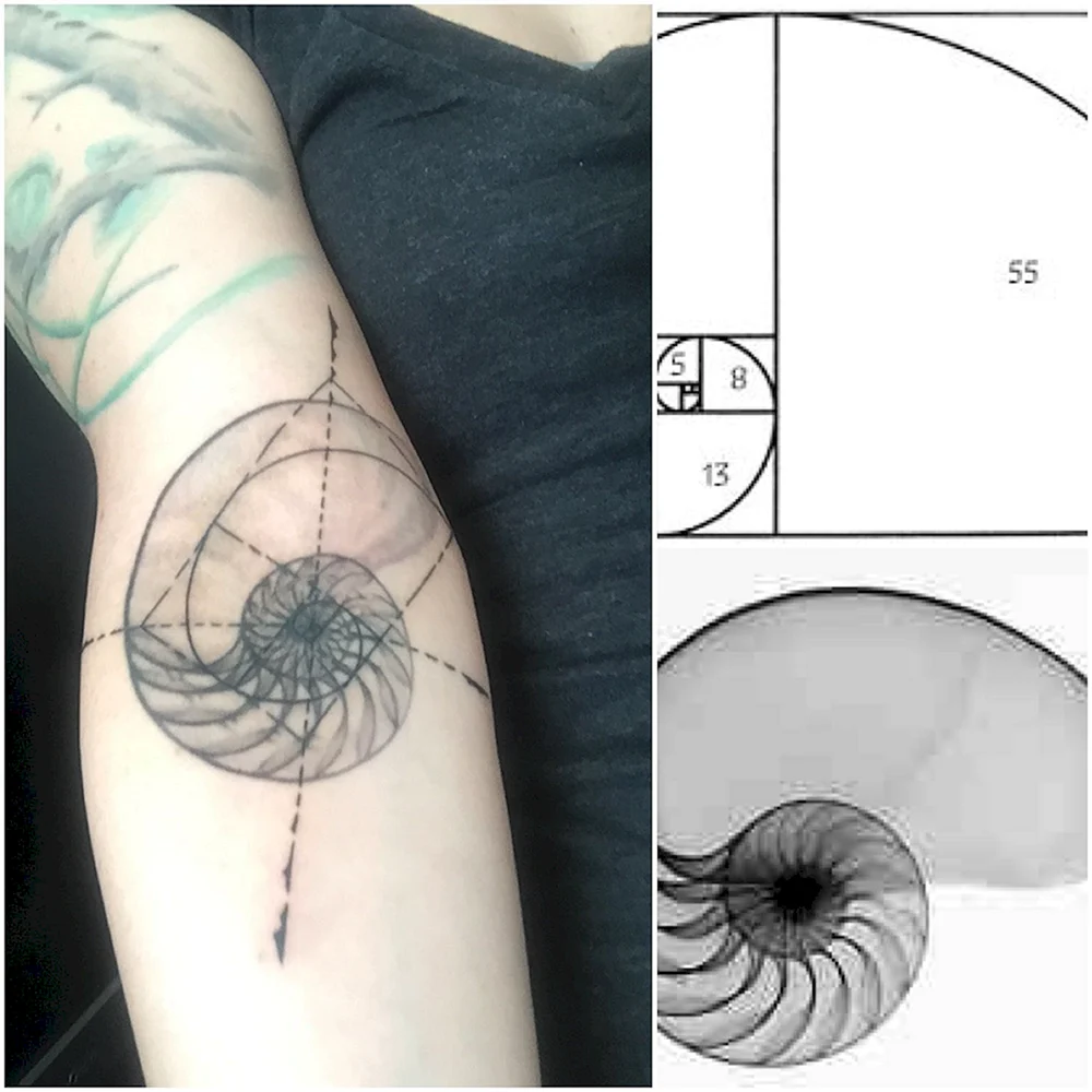 Fibonacci Tattoo