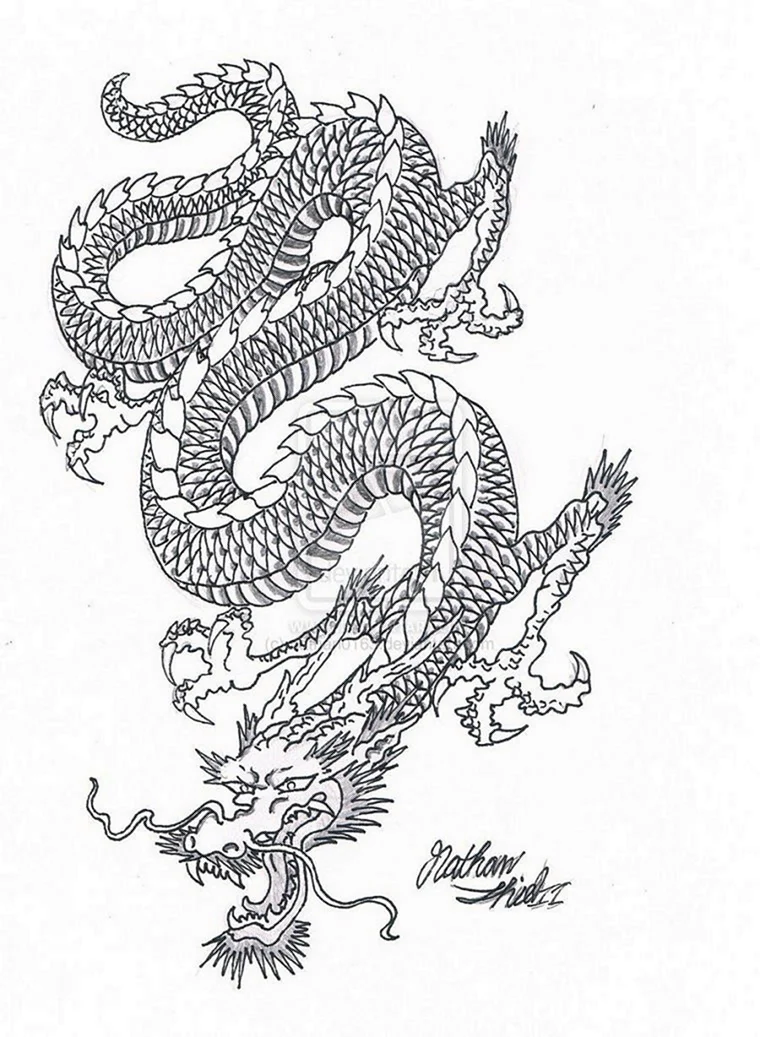 Fuku Riu Dragon Tattoo