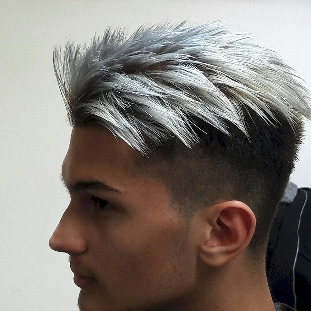 Gents Grey hair Cut