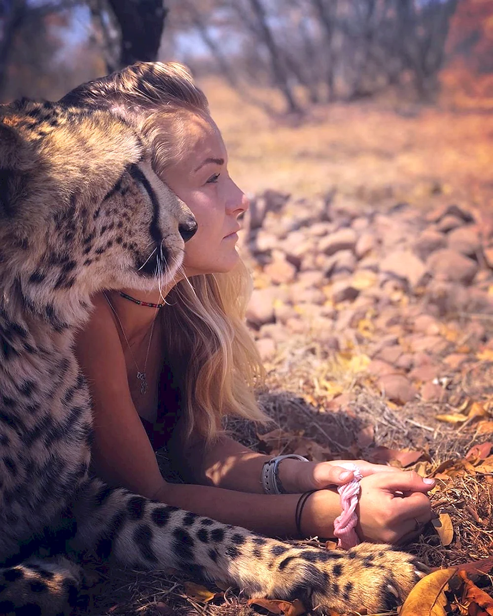 Gepard girl