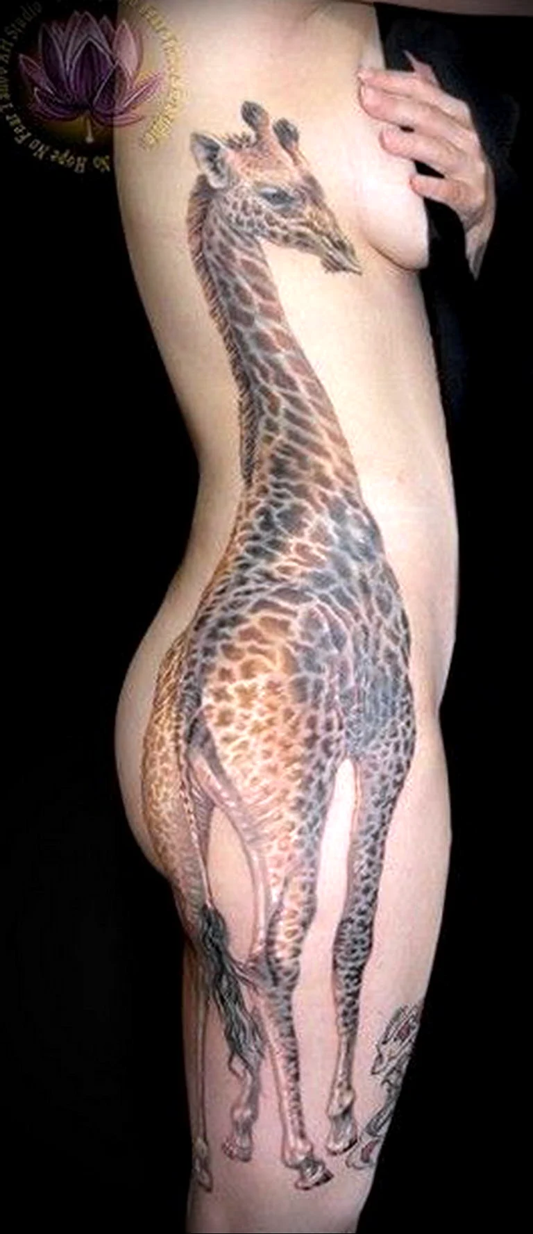 Giraffe and Tree Tattoo